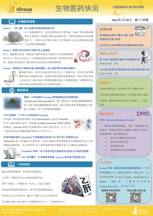 長煦信息技術(shù)咨詢 賦能企業(yè)數(shù)字化未來